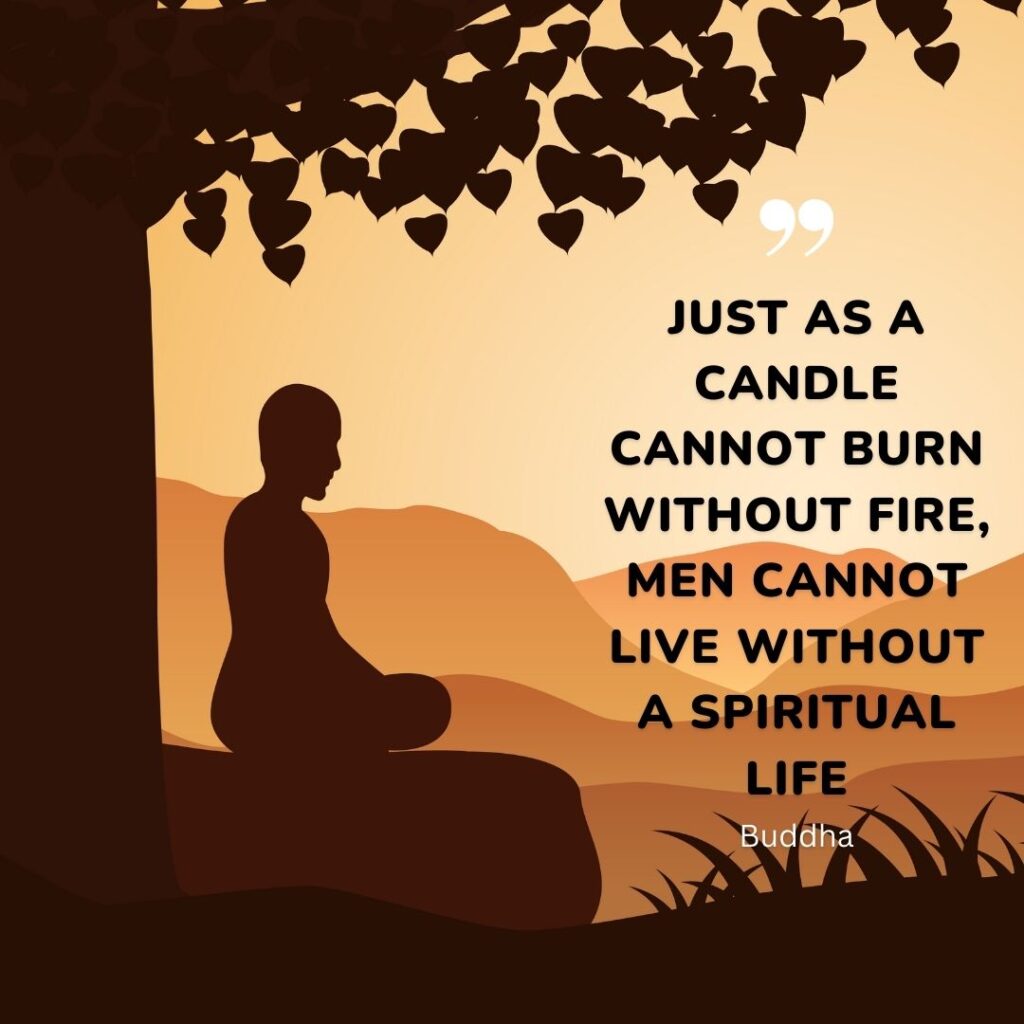 buddha quote on life