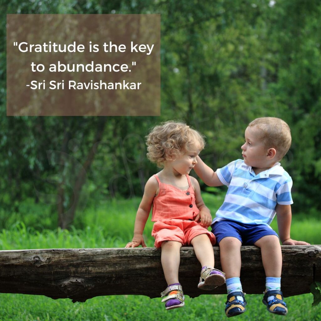 Ravi Shankar quotes on gratitude