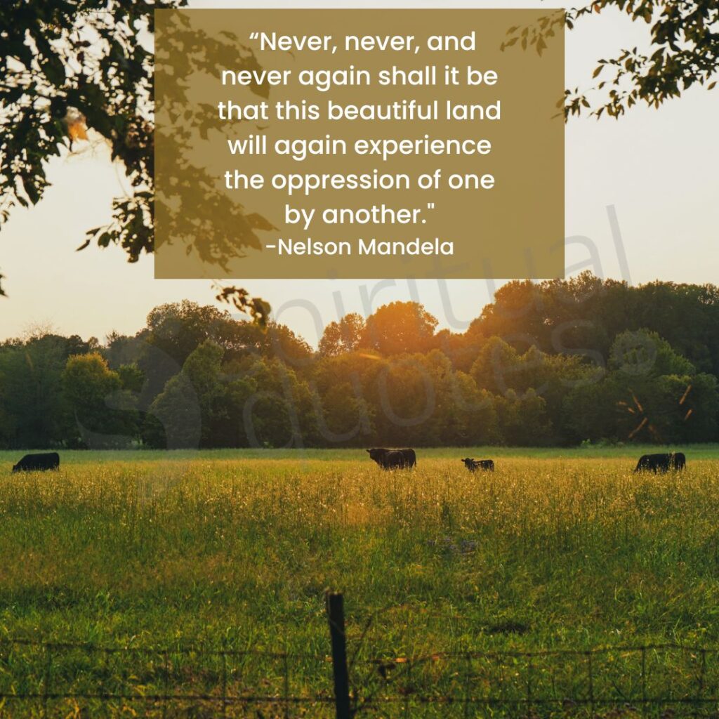 Quotes by Nelson Mandela on experience