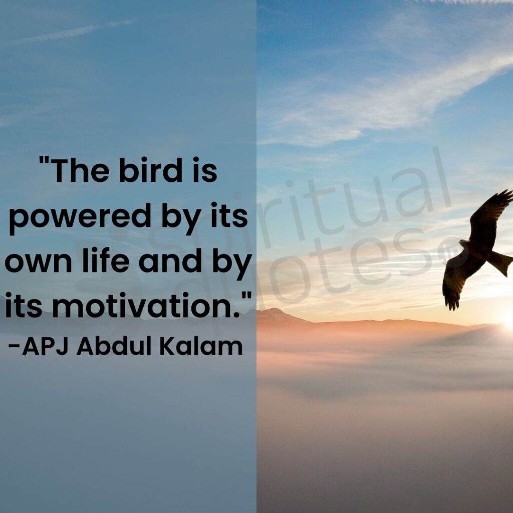 abdul kalam quotes on motivation 