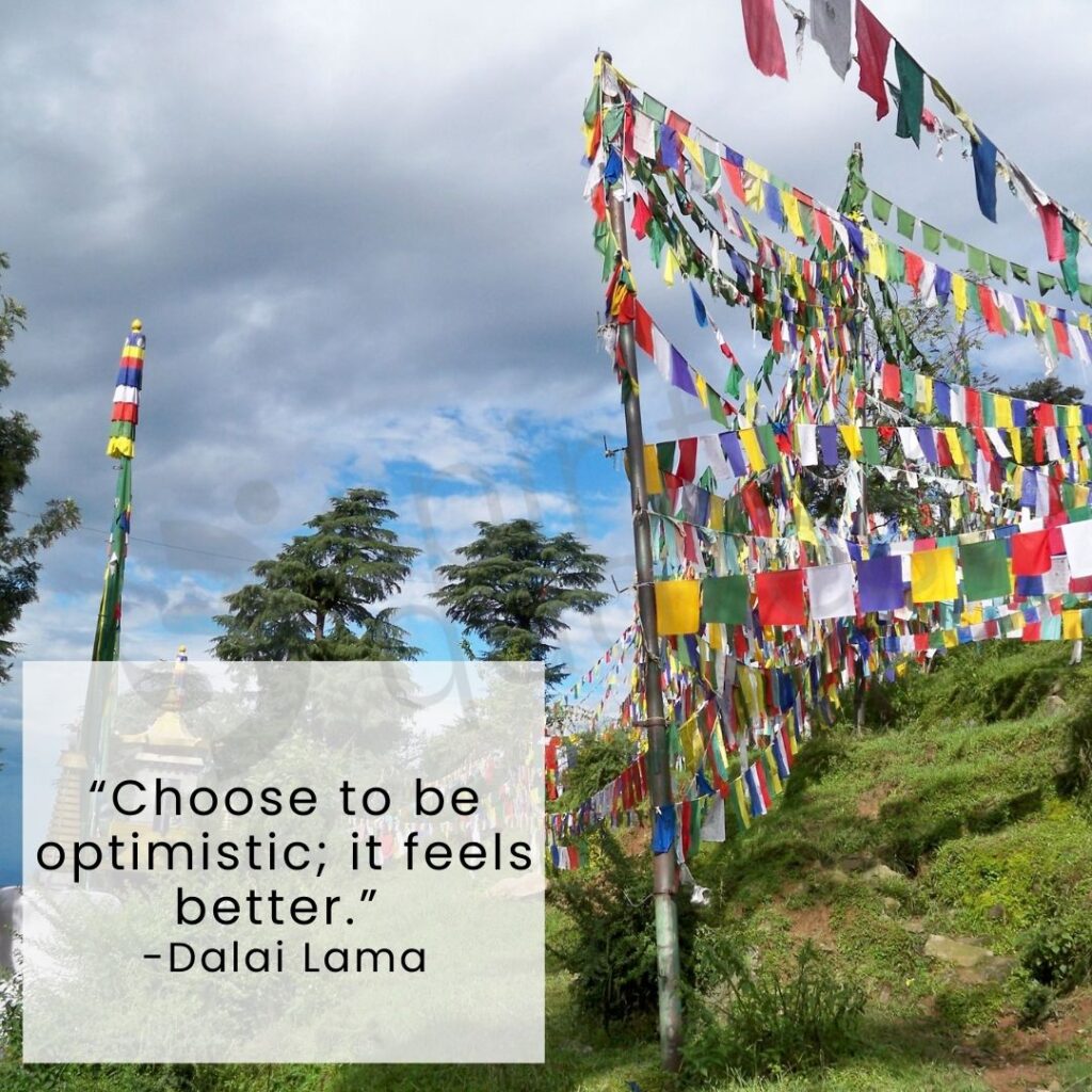 quotes by Dalai lama on optimism