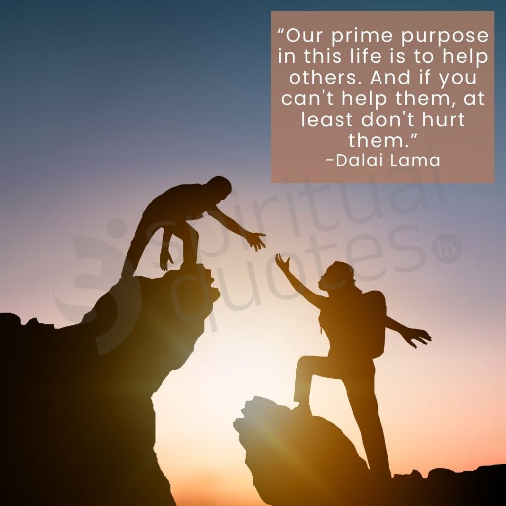 quotes by Dalai lama purpose