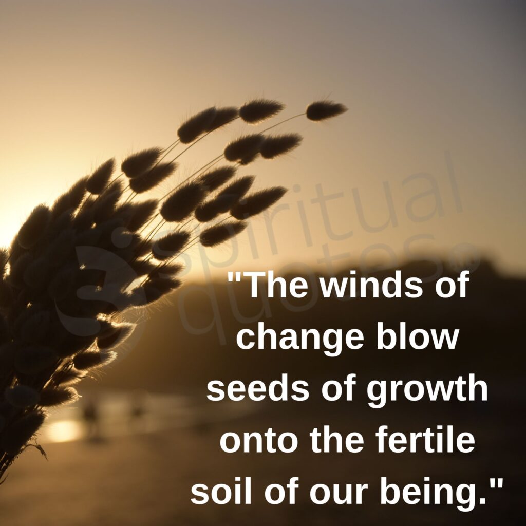 Jesus quotes on growth
