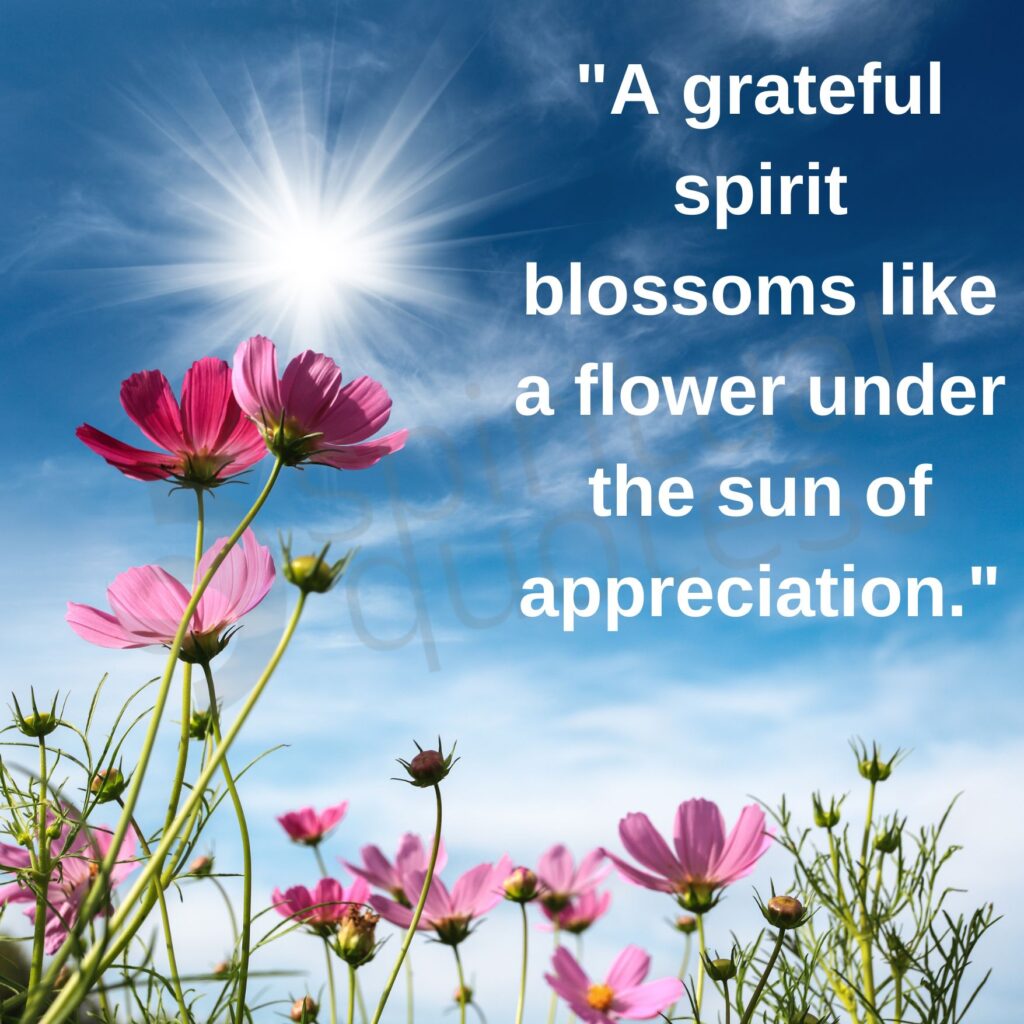 Jesus quotes on appreciation