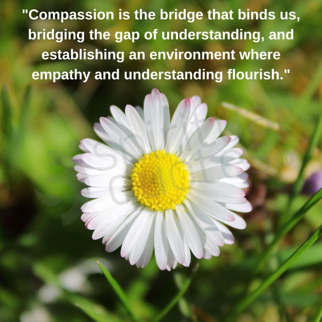 god quote on compassion