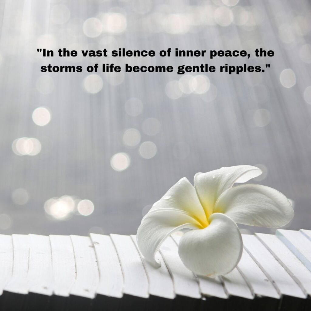 quotes by Swami Sukhabodhananda on silence