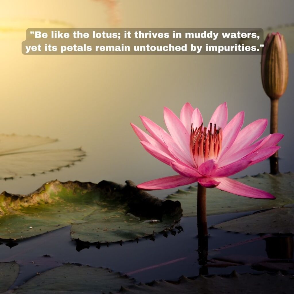 quotes by Swami Sukhabodhananda on wisdom