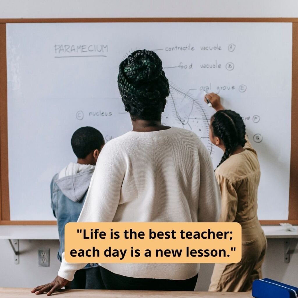 Pranab Pandya quotes on life like a teacher