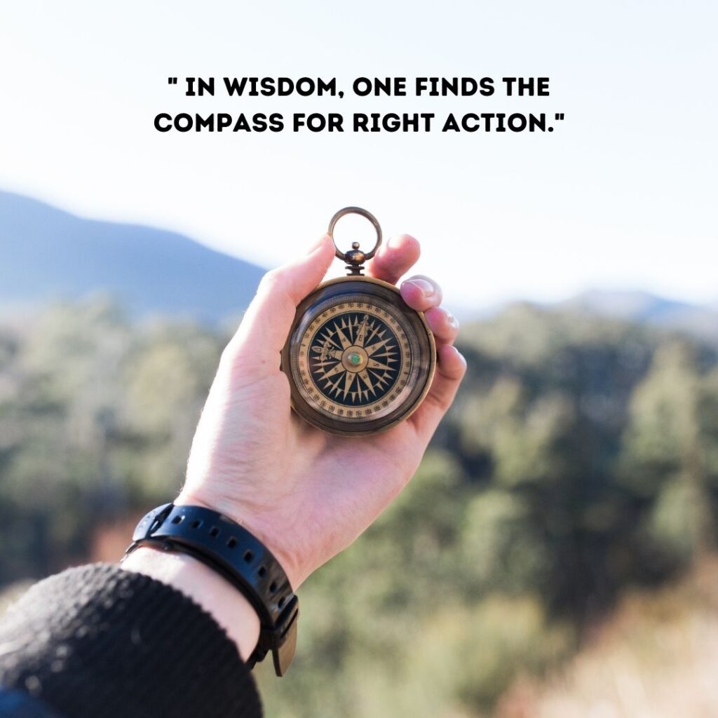 quotes by radha soami on wisdom as compass