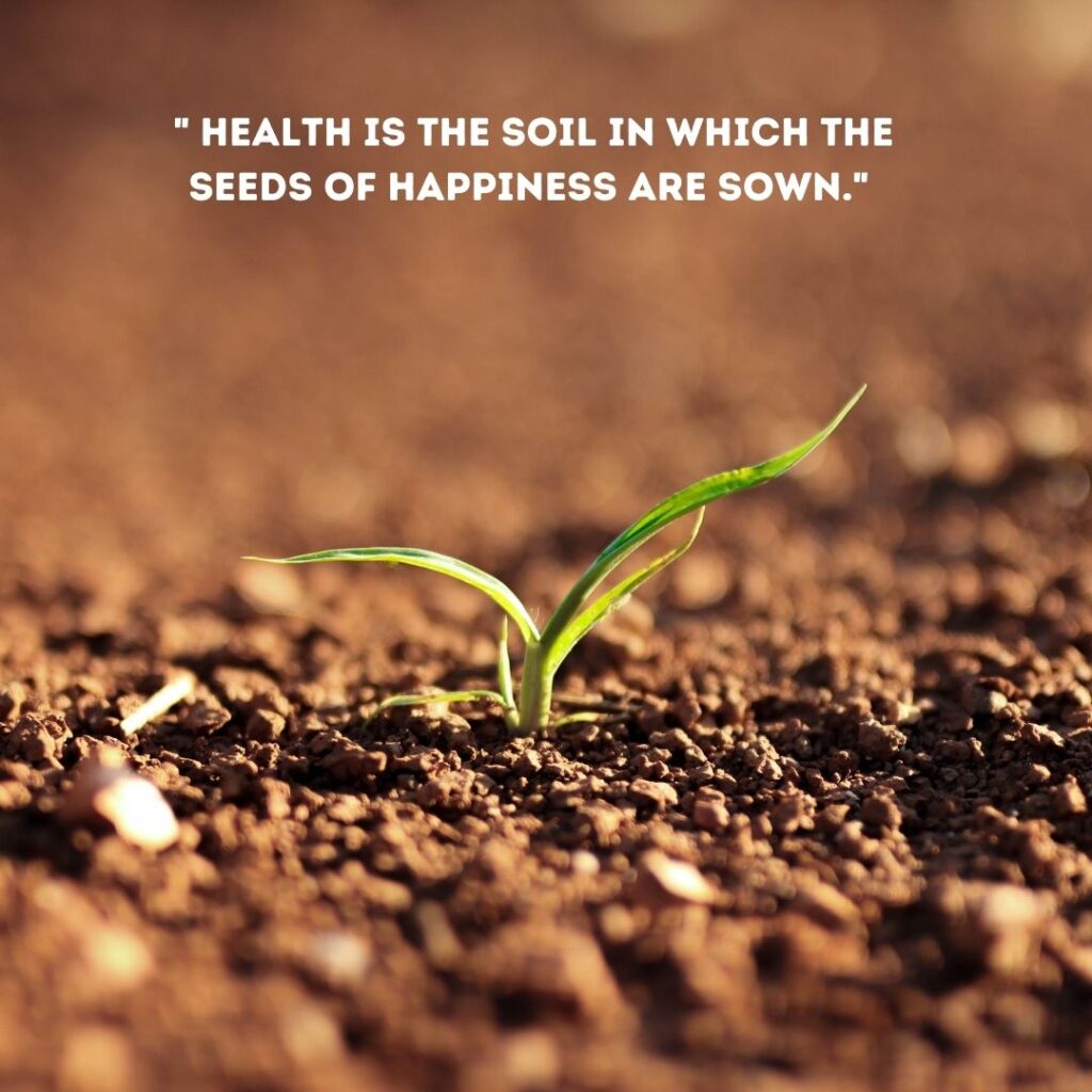 quotes by radha soami on health as sown