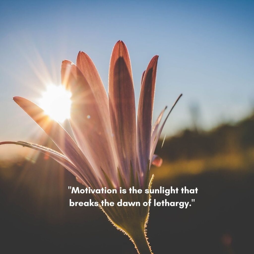 quotes on motivation as sunlight