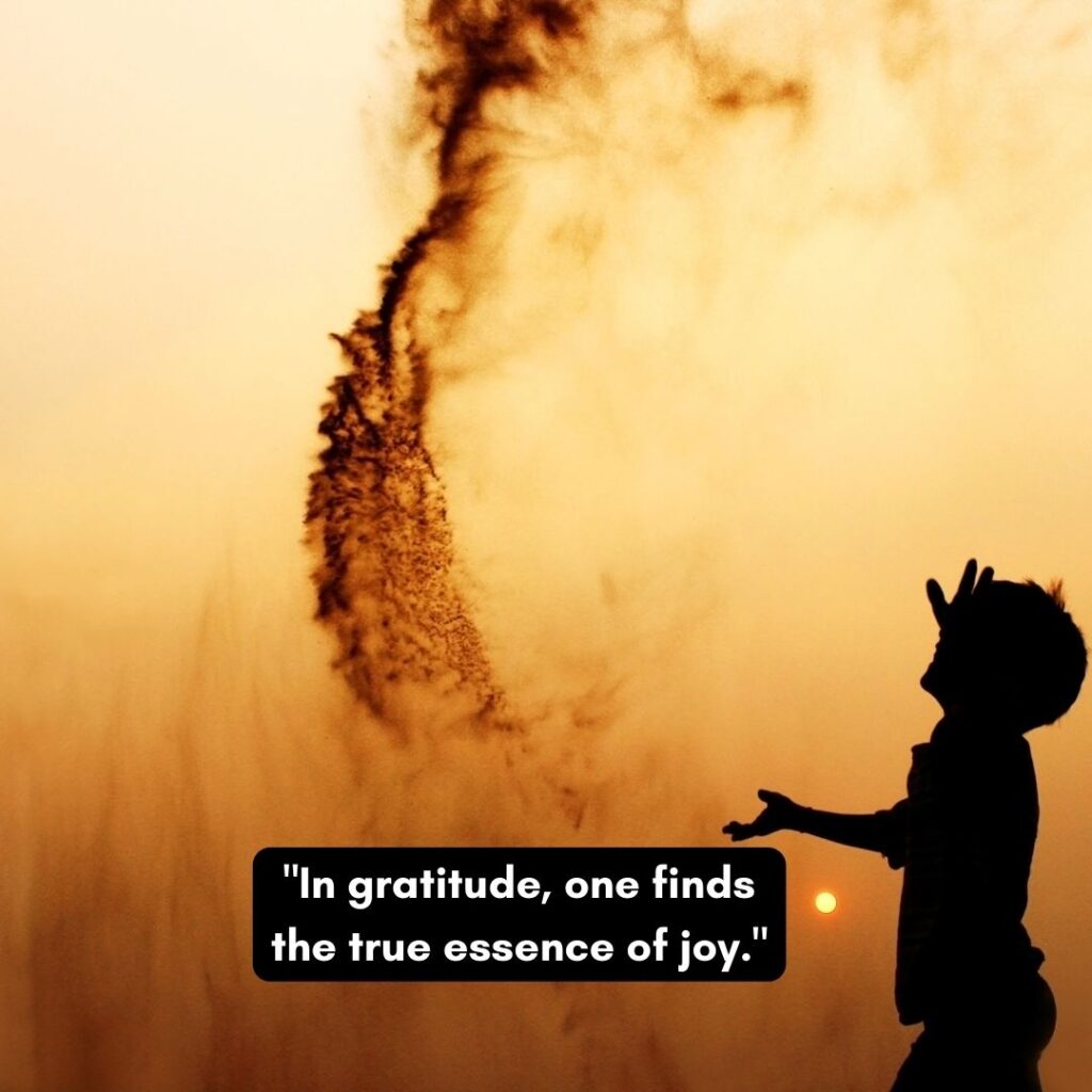 quotes by Mahesh Yogi on gratitude as joy