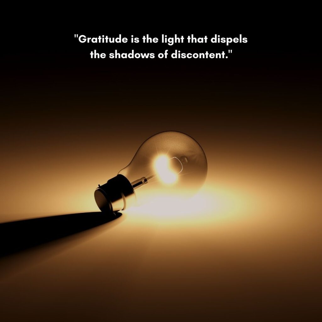 quotes by Mahesh Yogi on gratitude as shadows