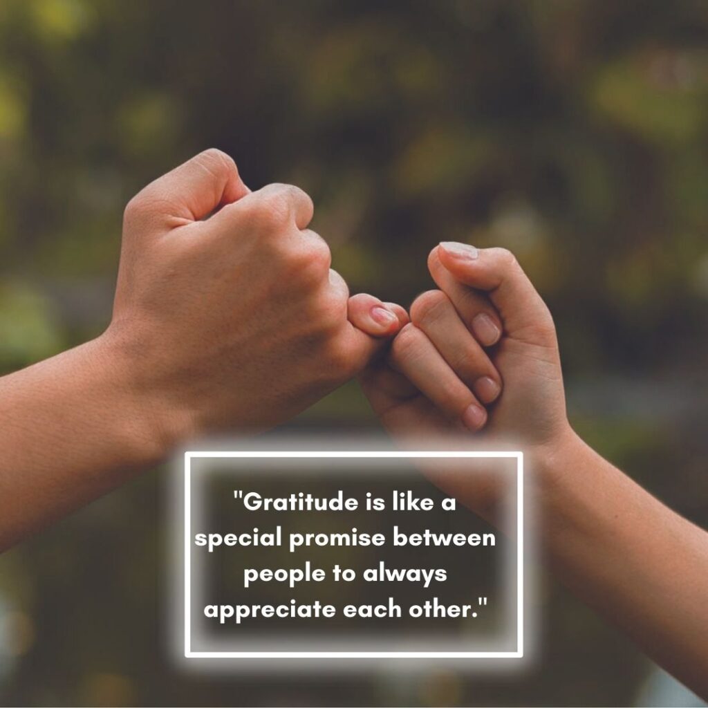 quotes by Mahesh Yogi on gratitude as appreciation