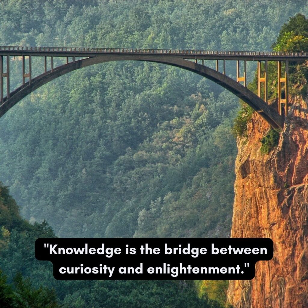 quotes by Mahesh Yogi on knowledge as curiosity