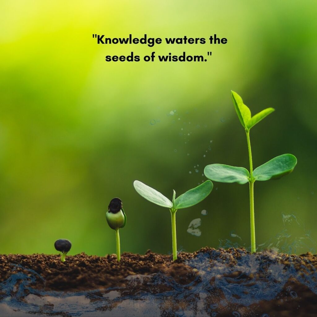 quotes by Mahesh Yogi on knowledge as water