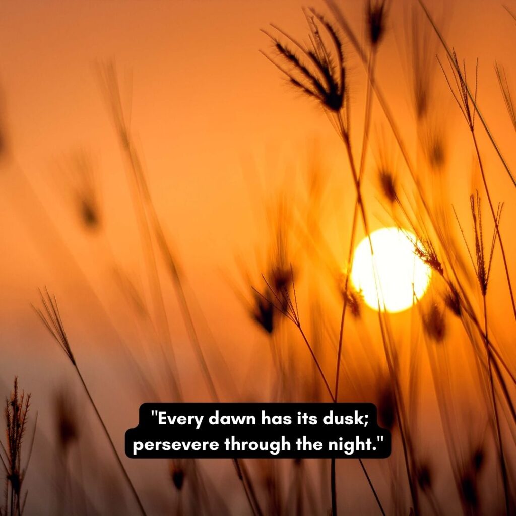quotes by Mahesh Yogi on knowledge as dusk